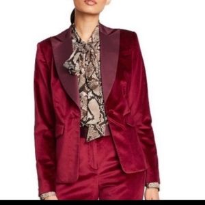 Altuzarra x Target Burgundy Velvet suit with Racing stripe